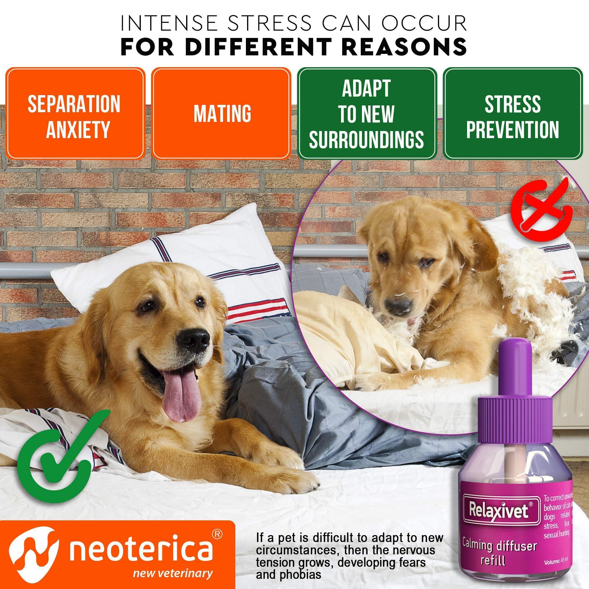 Pheromone Diffuser Kit for Dogs